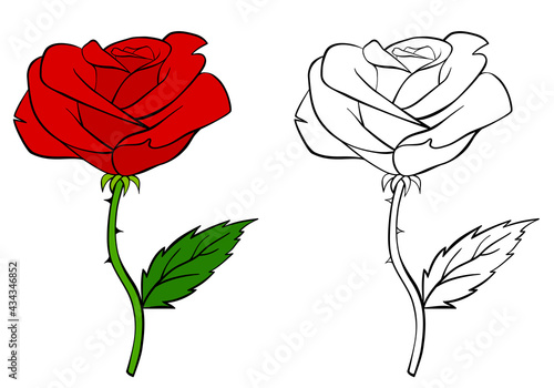 Rose flower colorful and black and white. Coloring book page for children. Colored and outline vector illustration isolated on white.