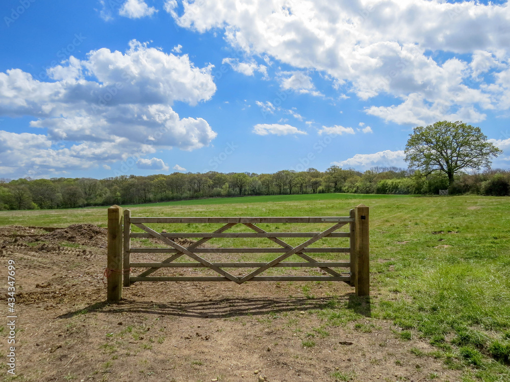 an odd gate to a field without a fence or wire