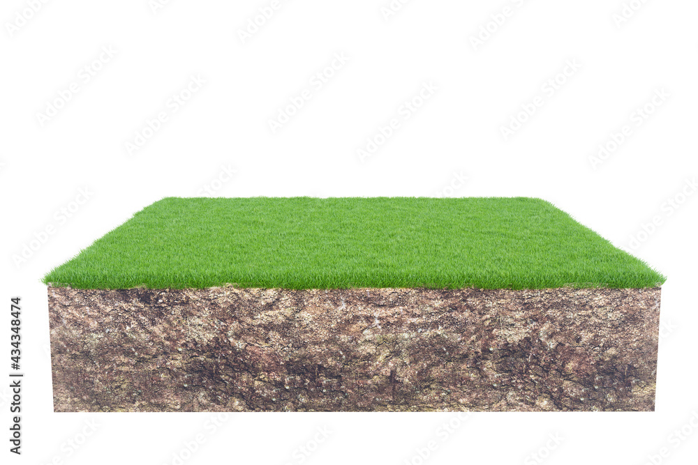 Green grass with soil land geology cross section isolated on white ...