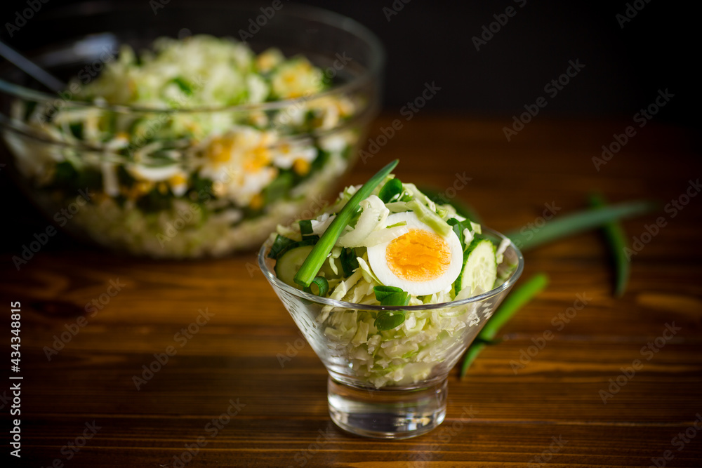 spring salad with early cabbage, cucumbers, eggs and green onions spring salad with early cabbage, cucumbers, eggs and green onions