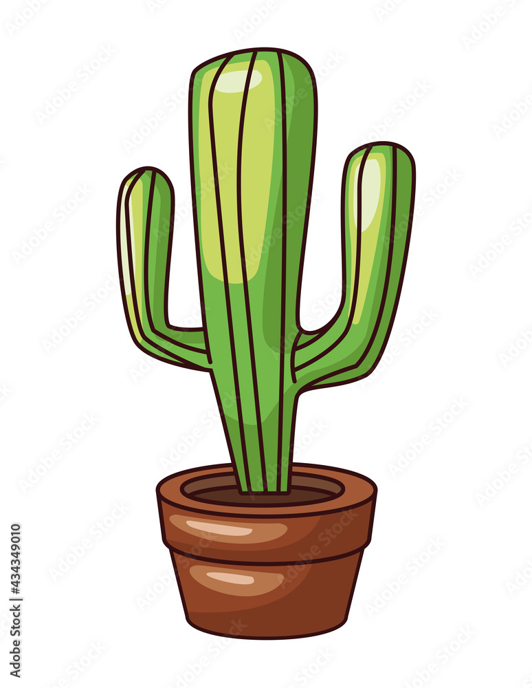 cactu in pot cactu in pot