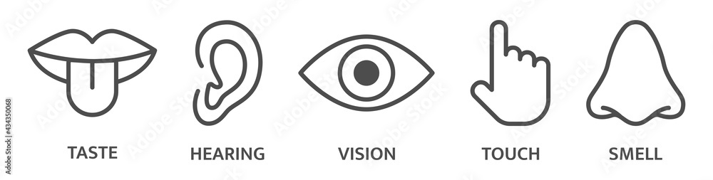 Five senses hear, taste smell, see, feel sight, touch, look vision. Sense sign set. Ear, eye nose, mouth, tongue hand line icons. Sensory perception symbol. Vector illustration Five senses hear, taste smell, see, feel sight, touch, look vision. Sense sign set. Ear, eye nose, mouth, tongue hand line icons. Sensory perception symbol. Vector illustration