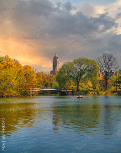 autumn in the park New York central beautiful scene tree nature sky clouds cute 