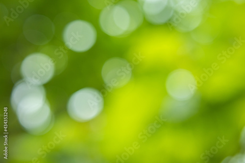 Green blur Bokeh, Abstract natural green bokeh background.