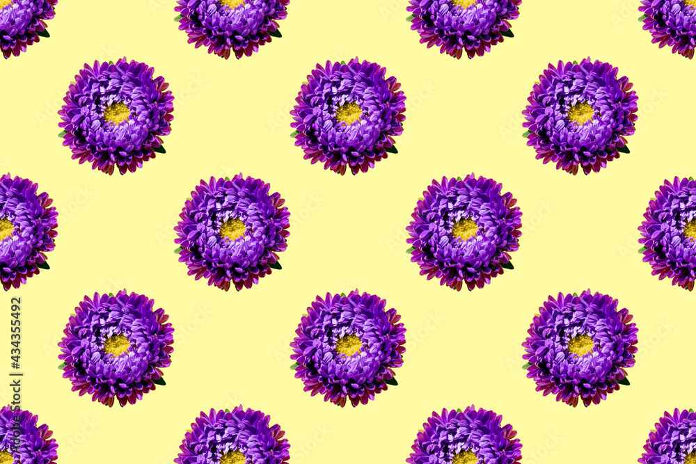 Seamless pattern of a beautiful purple flower Aster on soft yellow background. Minimal flowers concept. Abstract backdrop. Top view, flat lay Seamless pattern of a beautiful purple flower Aster on soft yellow background. Minimal flowers concept. Abstract backdrop. Top view, flat lay