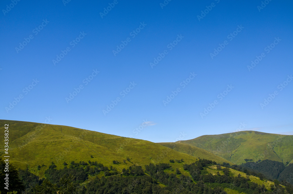 Beautiful green hills on sunny summer day. Landscape of Borzhava ridge of the Ukrainian Carpathian Mountains. Tourism in Ukraine