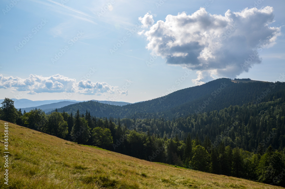 Scenic view to valley with grassy slope and forested hills on fine summer day. Carpathian Mountains. Ukraine 