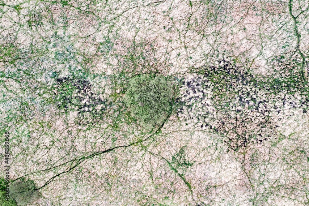 Obraz premium .Aerial drone meadows and fields.