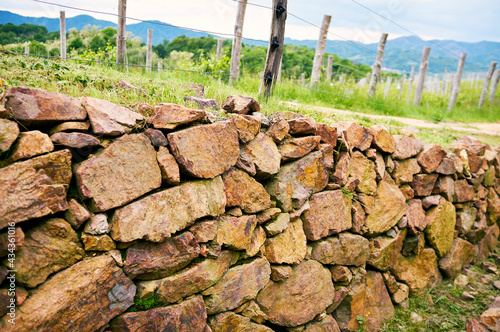 Springtime panorama of the vineyards in the hilly winery Region of Novarese (Piedmont, Northern Italy); this area is famous for its valuable red wines, like Ghemme and Gattinara (Nebbiolo grapes). photo