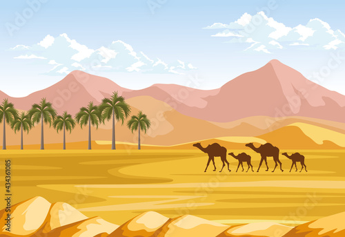 palms and camels
