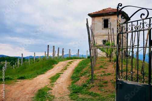 Tableau sur toile Springtime panorama of the vineyards in the hilly winery Region of Novarese (Piedmont, Northern Italy); this area is famous for its valuable red wines, like Ghemme and Gattinara (Nebbiolo grapes)