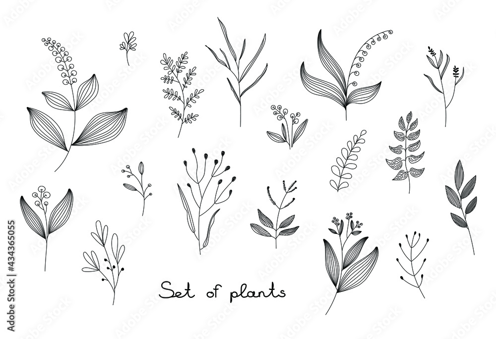 a set of different plants in doodle style. Vector illustration a set of different plants in doodle style. Vector illustration