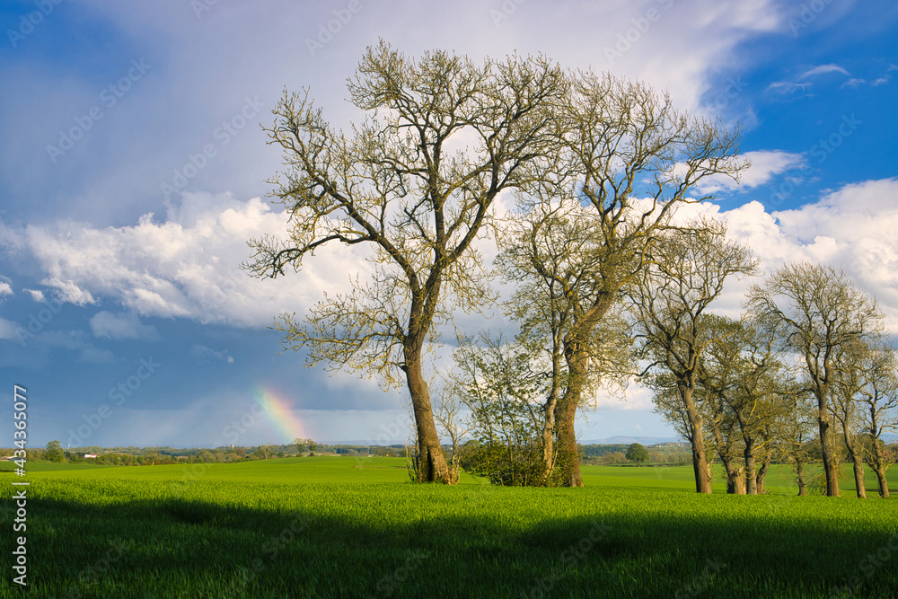 A Distant Storm and Rainbow forming over Farmland in County Durham, England, UK. A Distant Storm and Rainbow forming over Farmland in County Durham, England, UK.