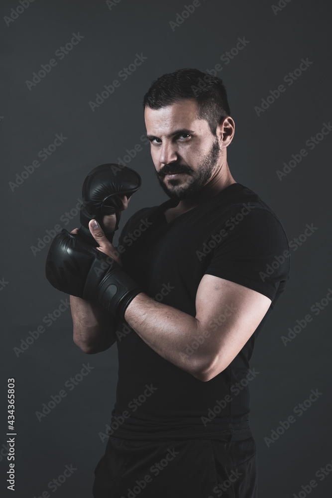 adult boxer posing in a photo studio