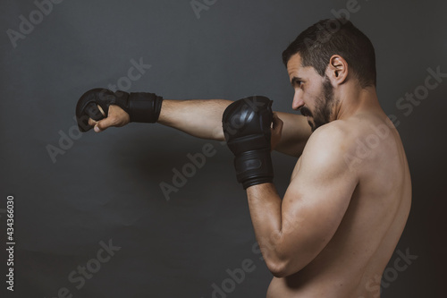 adult boxer posing in a photo studio ©  Yistocking