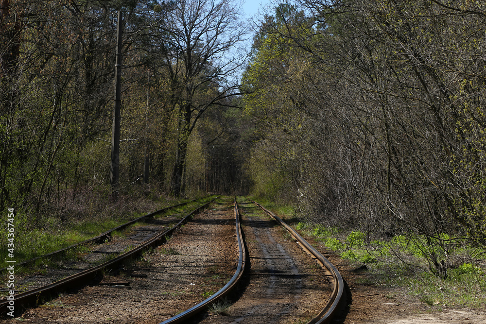 The railway in the forest
