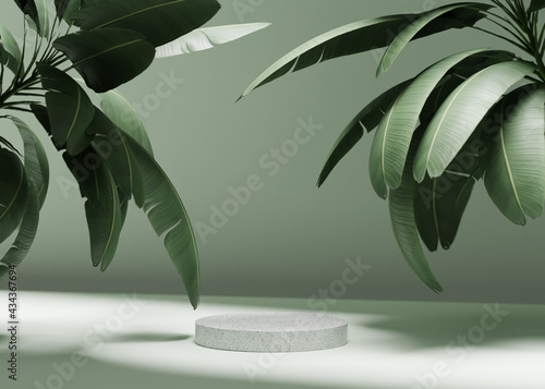 3D background with stone podium display. Nature rock pedestal with tropical palm leaf and shadow on green background. Cosmetic, beauty product promotion stand with plant. Studio 3D render illustration