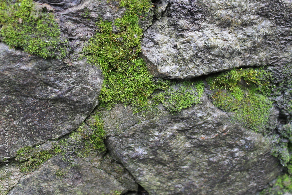 texture in the form of a gray stone with moss