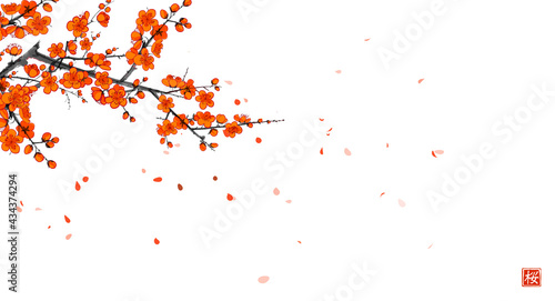 Blossoming sakura branch and falling petals. Traditional oriental ink painting sumi-e, u-sin, go-hua. Hieroglyph - blossom