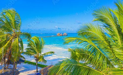 Beach with beautiful coastline. Palm trees and caribbean sea. Color water is turquoise  white sand and green palm trees. Little foaming waves. East National Park isla Saona  Dominican Republic