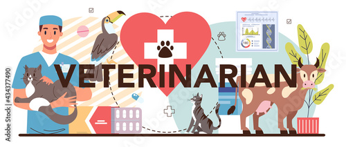 Veterinarian typographic header. Veterinary doctor checking and treating animal
