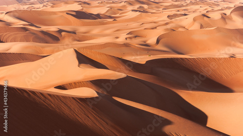 Sands Dunes of Liwa desert in the United Arab Emirates