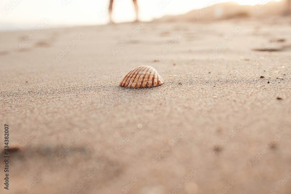 Couple in love on the beach celebrating valentines day with seashell with selective focus, summer love at sunset Couple in love on the beach celebrating valentines day with seashell with selective focus, summer love at sunset