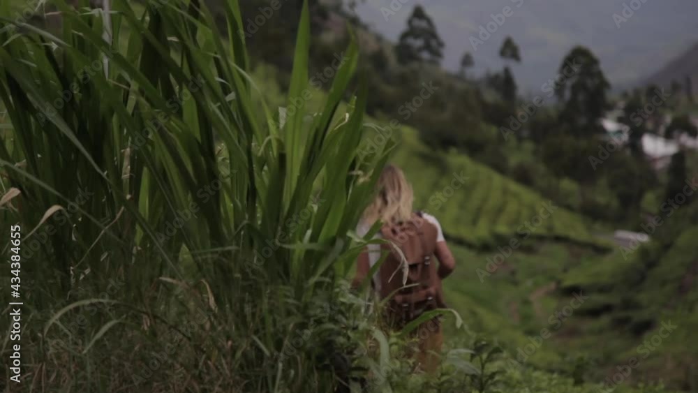 Traveling woman in valley with exotic plantations