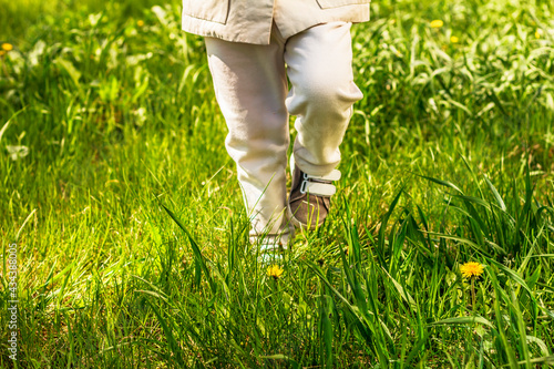 Walking in green grass with yellow dandelions, child wearing white trousers and brown canvas shoes steps.