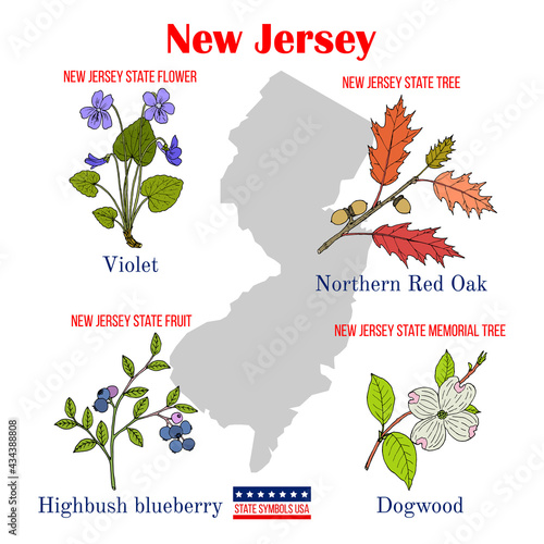 New Jersey. Set of USA official state symbols