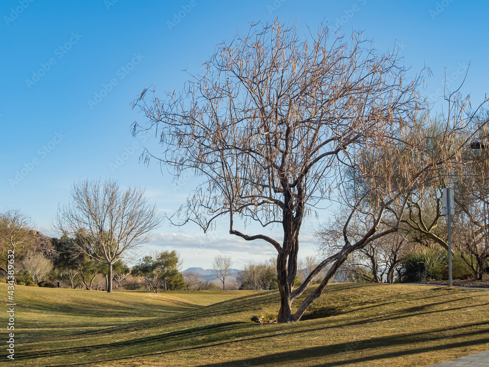 Landscape of the Exploration Peak Park Landscape of the Exploration Peak Park
