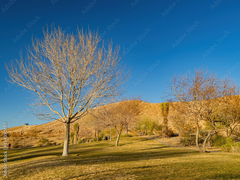 Landscape of the Exploration Peak Park Landscape of the Exploration Peak Park