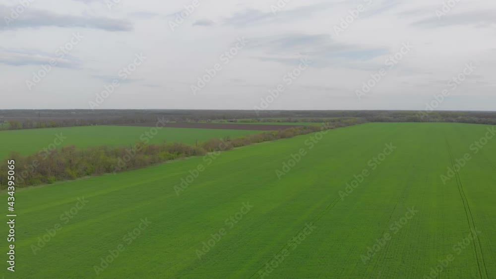 Landscape aerial green field drone view landing down camera movement Landscape aerial green field drone view landing down camera movement