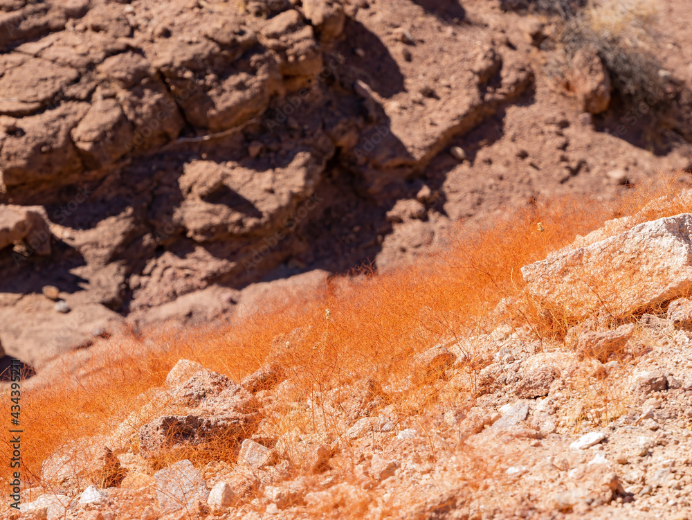 Fototapeta premium Hiking in the Arizona Hot Spring Trail