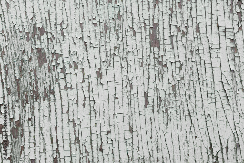 Horizontal picture of light grey cracked backdrop. Old grey wooden wall in pastel tone.