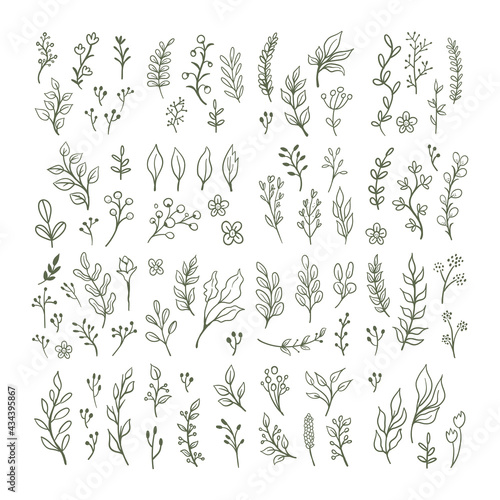 Hand drawn floral ornaments. Flowers and leaves doodle vector collection. Decorative plants illustrations. Nature decoration drawings handmade style.