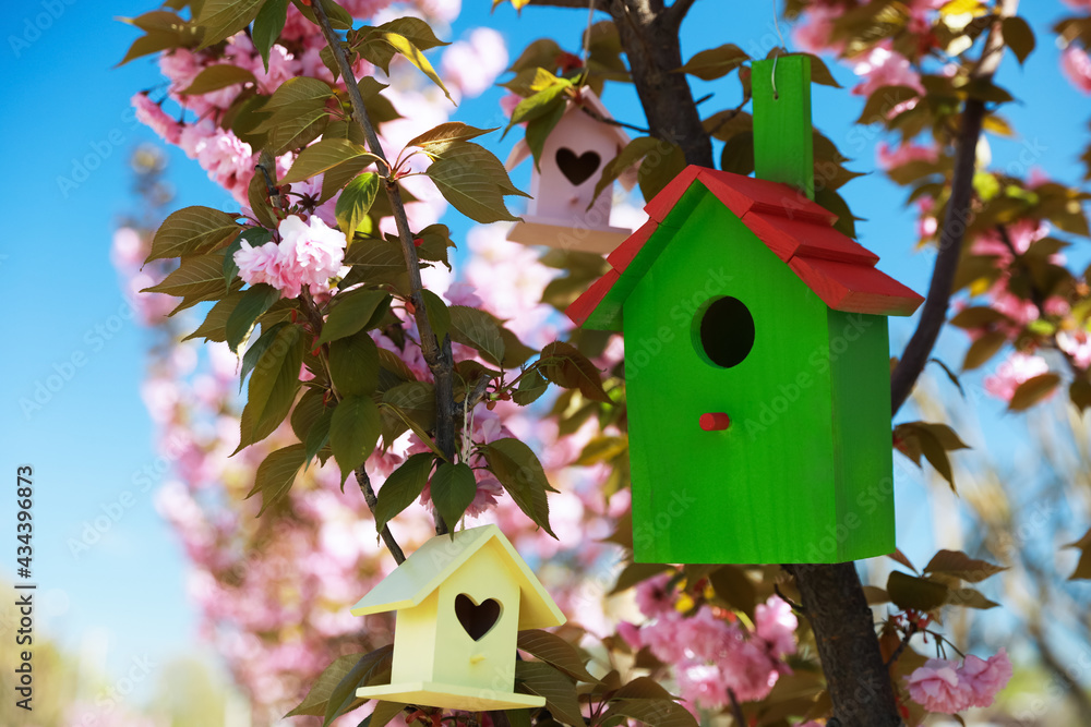 Bird houses hanging on tree branches outdoors Bird houses hanging on tree branches outdoors