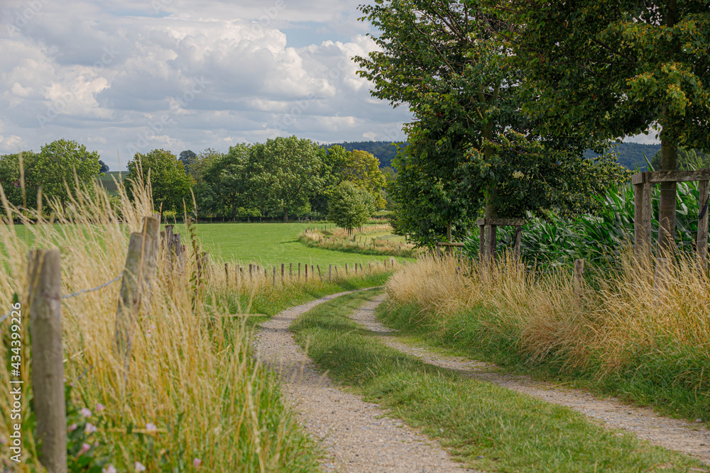 Summer landscape of hilly countryside of South Limburg (Zuid-Limburg) with small gravel footpath between the farm, Epen is a village in the southern part of the Dutch province of Limburg, Netherlands.