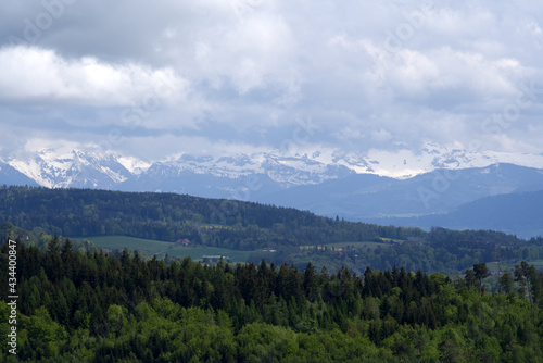 Landscape with mountains in the background seen from wooden lookout named Loorenkopfturm (Loorenkopf tower). Photo taken May 18th, 2021, Zurich, Switzerland. © Michael Derrer Fuchs