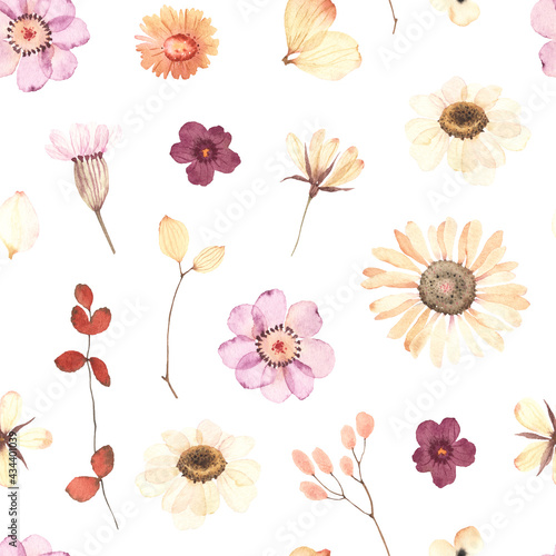 Watercolor floral seamless pattern with wildflowers  branches and leaves in herbarium style. Dry flowers and plants isolated on white background  hand painting image  print in pastel colors.