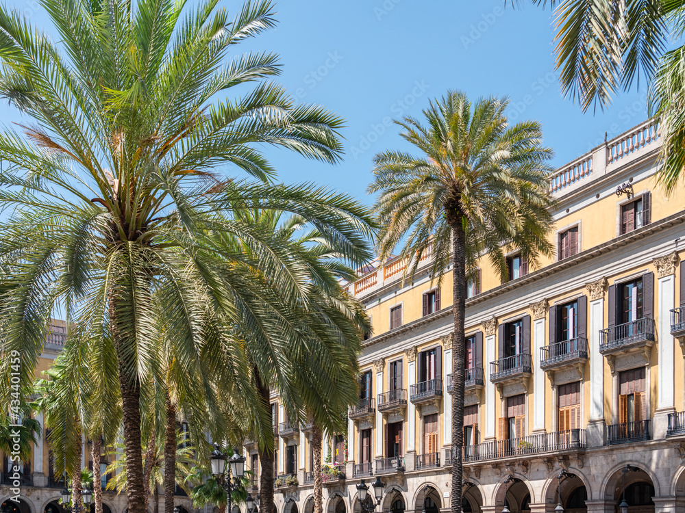 Palm Trees In Barcelona City, Spain