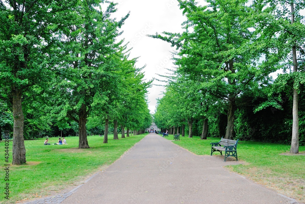 Fototapeta premium The greenery view in Bute Park in the city of Cardiff, capital of Wales, UK