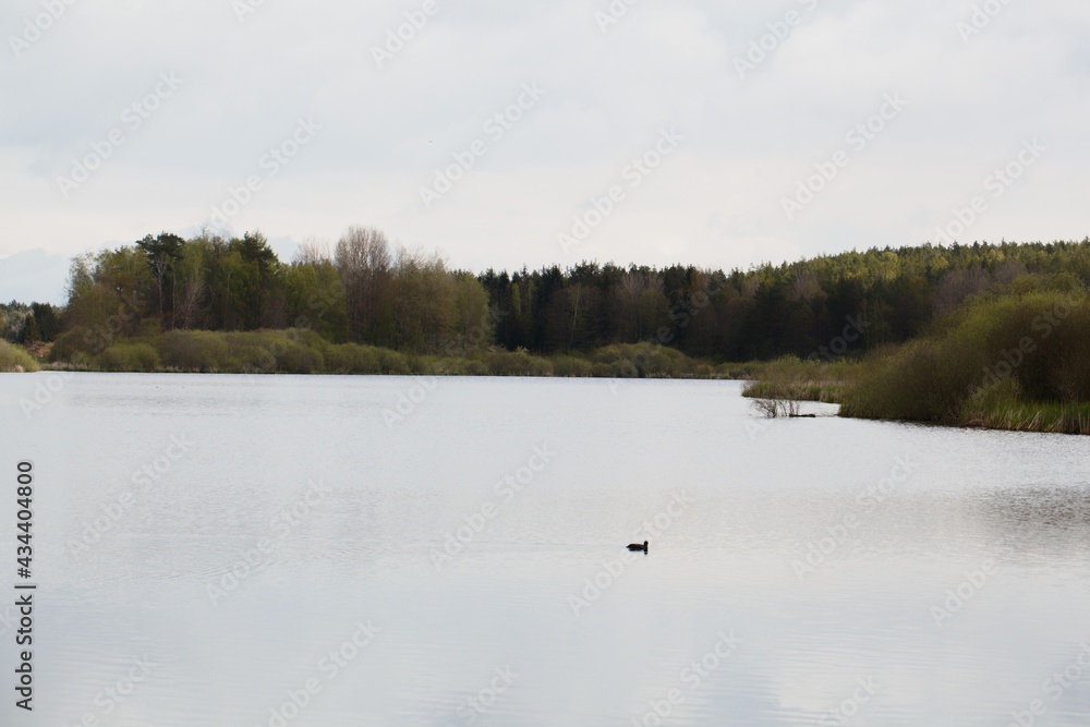 The lake Craimoosweiher in Bavaria Germany