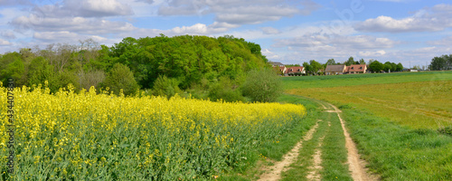 Fototapeta Naklejka Na Ścianę i Meble -  Panoramique chemin de campagne au colza jaune à Jouy-le-Moutier (95280), département du Val-d'Oise en région Île-de-France, France