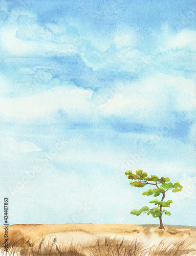 Lonely tree in the field. Watercolor landscape  blue sky illustration