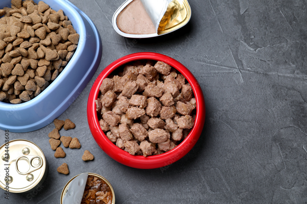 Wet and dry pet food on grey table, flat lay. Space for text Wet and dry pet food on grey table, flat lay. Space for text