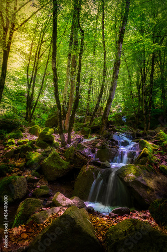 Mountain waterfall in spring forest