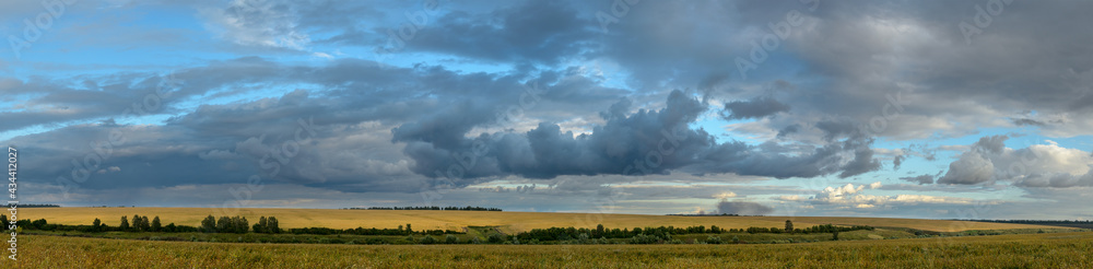 Dark rainy clouds over the golden fields Dark rainy clouds over the golden fields