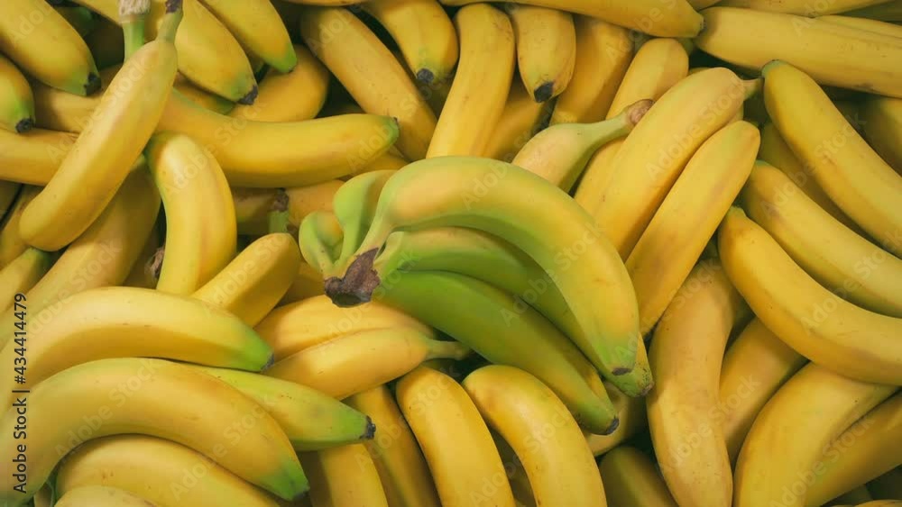 Man Picks Up Banana - Single And Bunch Man Picks Up Banana - Single And Bunch