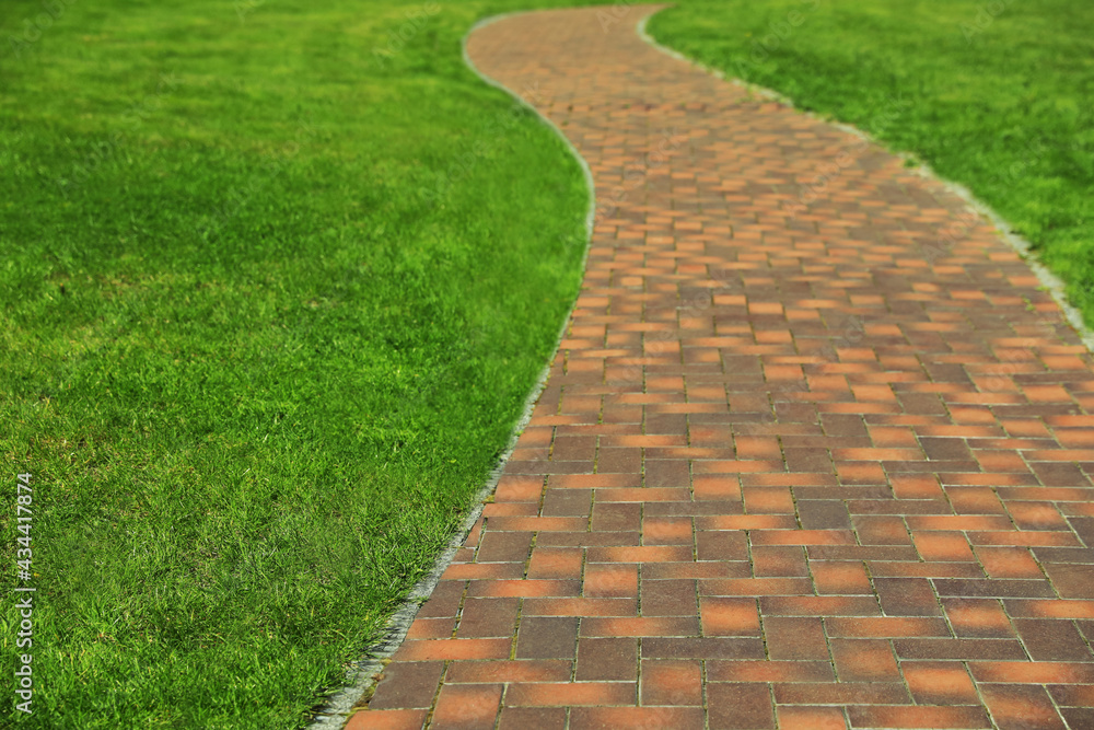 Fresh green grass growing near pavement path outdoors Fresh green grass growing near pavement path outdoors